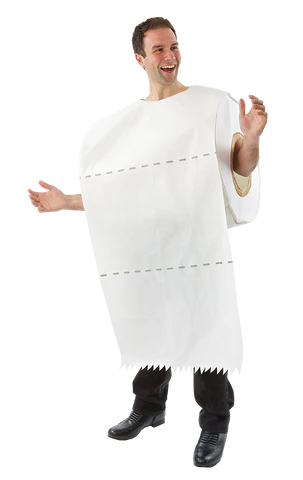 toilet roll stag do costume idea